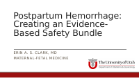 PPH safty bundells.pdf